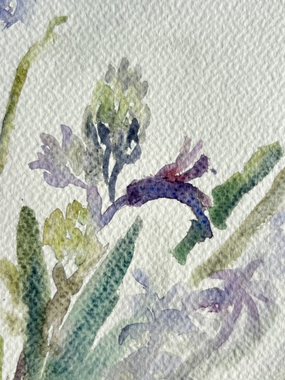 Hyacinth and primroses