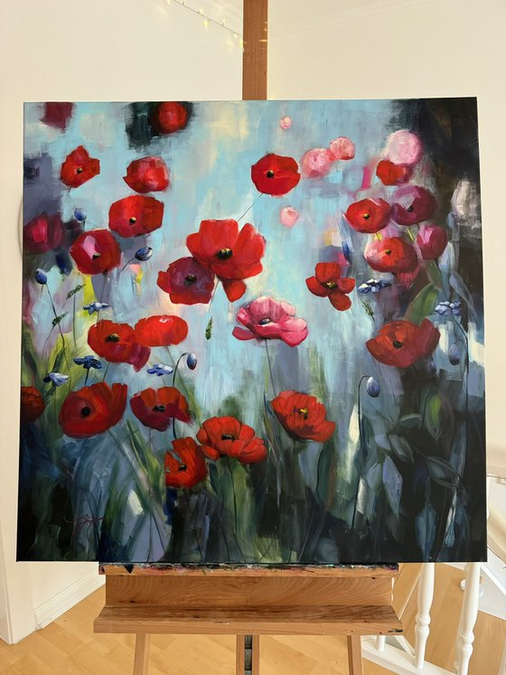 Poppies Land 12