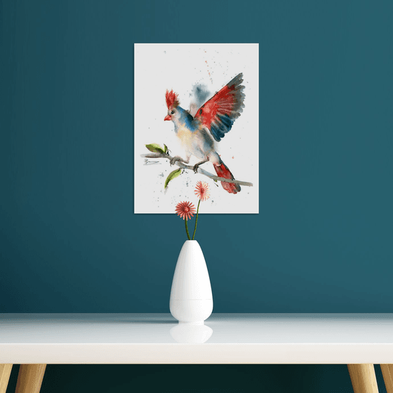 Desert cardinal