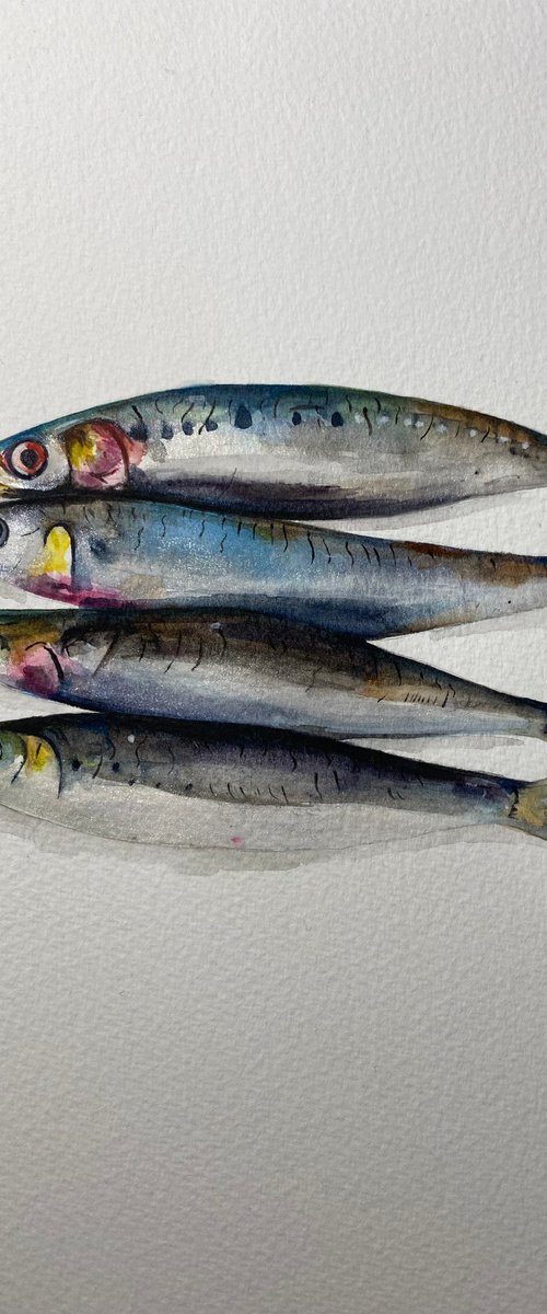 Sardines.. watercolour painting by Bethany Taylor