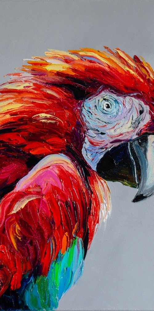 Macaw by Liubov Kuptsova