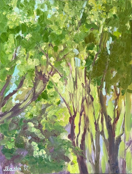 Light Between the Leaves 1