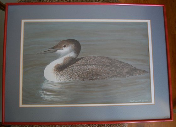 Winter Loon - framed 17X11 inch acrylic