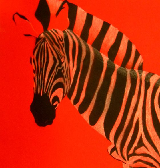 Red zebra