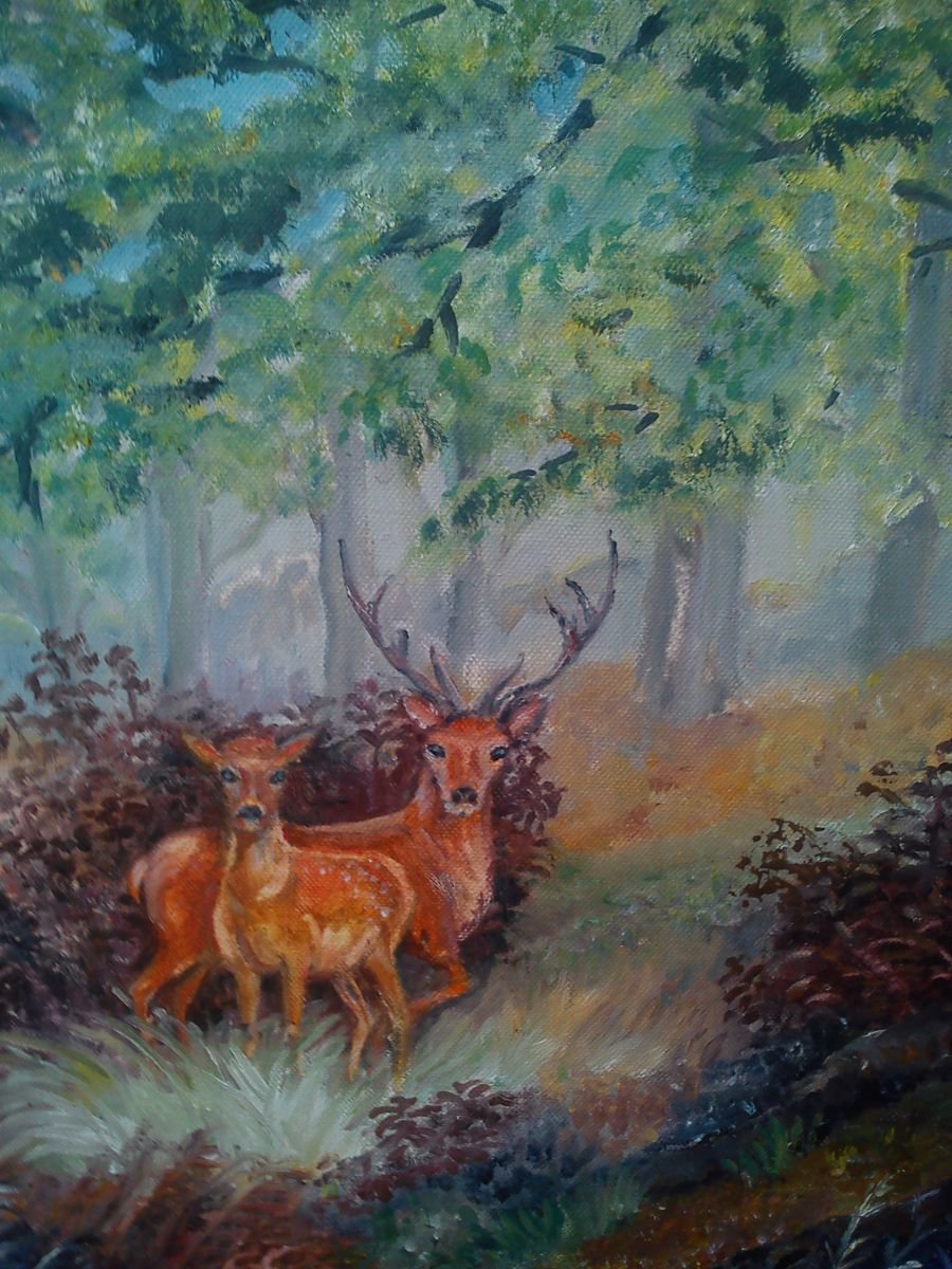 The stag by Valerie Reffold