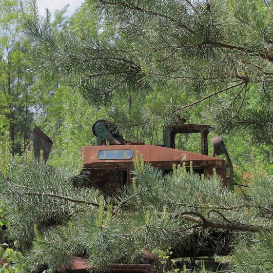 #55. Pripyat vehicle graveyard 1 - XL size