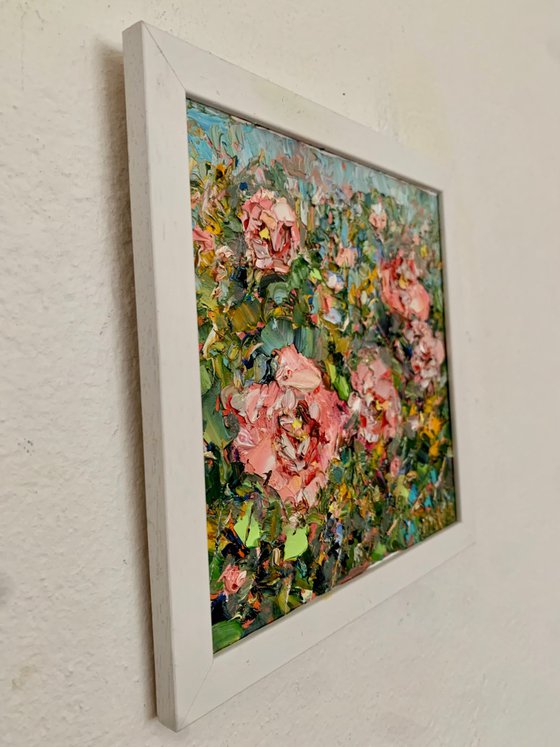 Pink roses