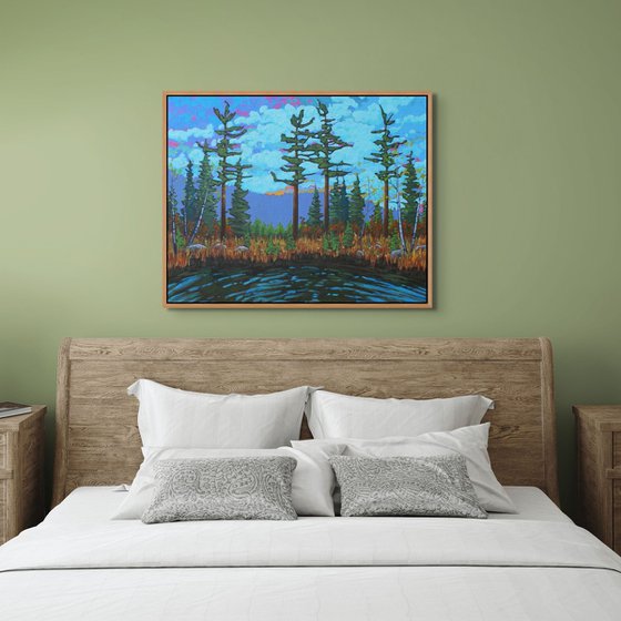 A Day in the Wilderness