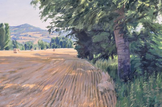 After the Harvest, Morning Light