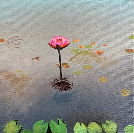 Pink water lily! Miniature painting