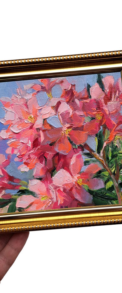 Oleander flowers by Nataly Derevyanko