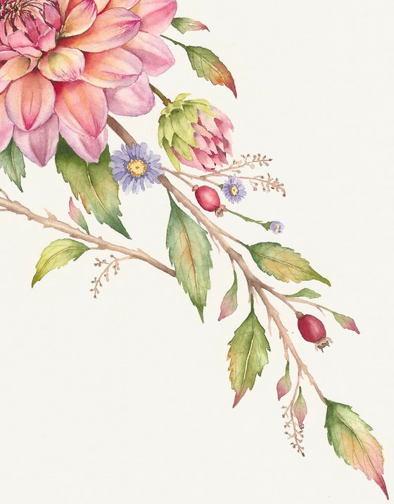 Dahlia Plumage