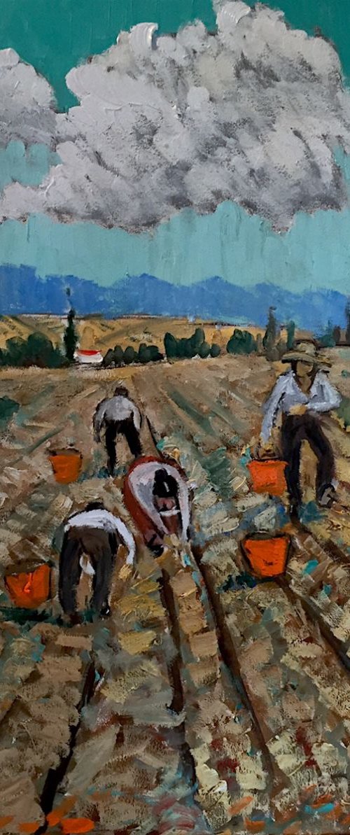 Potato Diggers by Angus  MacDonald