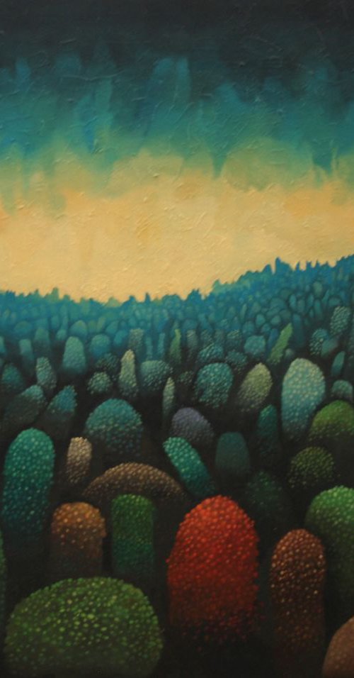 Rain project- Over and out in Marka by Rory Mitchell