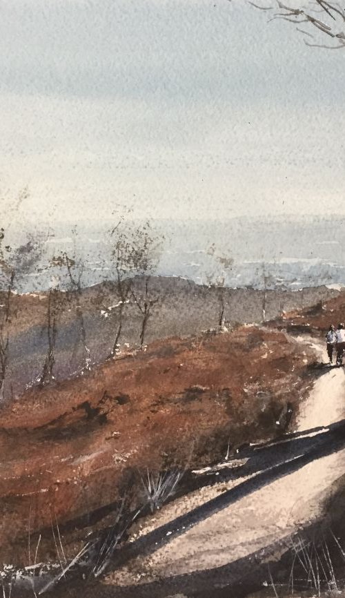 View from the hills by Tihomir Cirkvencic
