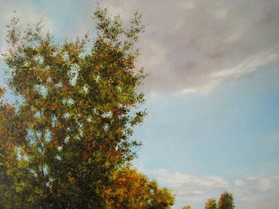 Autumn Reflection
