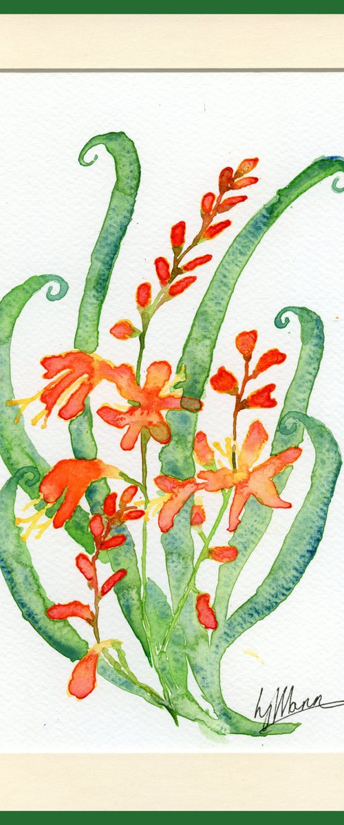 Crocosmia motif by Lisa Mann