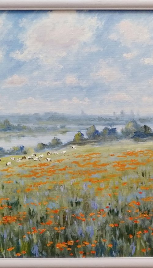 At the edge of the poppy field by Oleh Rak