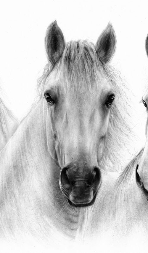 Three Beautiful Horses by Danguole Serstinskaja