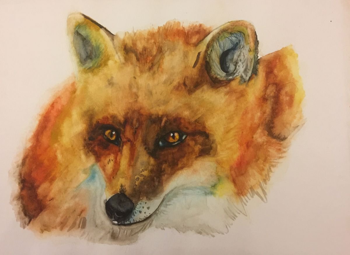Foxy by Nicky Campbell