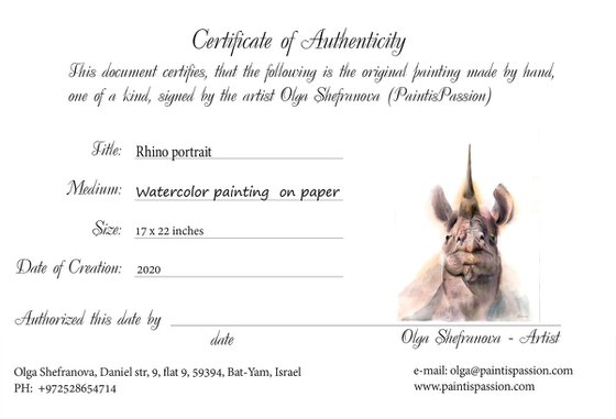 Rhino portrait