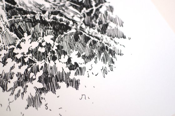 Doves on a Branch