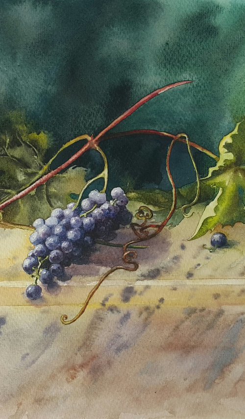BRANCH OF GRAPES by Natasha Sokolnikova