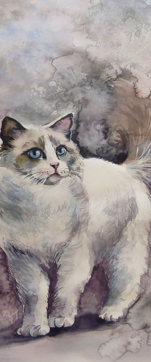 Blue eyes watercolor cat by Maria Kireev