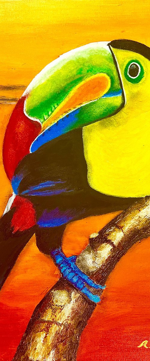 Morning Toucan by Andrew (Ana` Alu) Hollimon