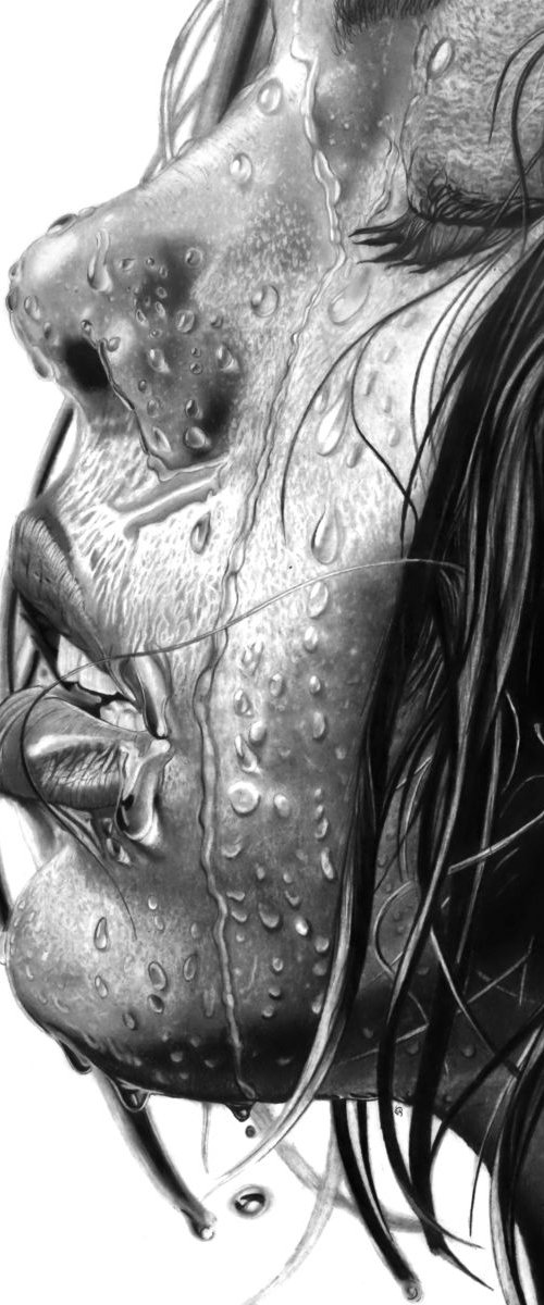 WET by Paul Stowe