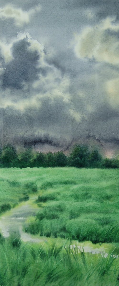 Summer Storm Meadow by Olga Beliaeva Watercolour