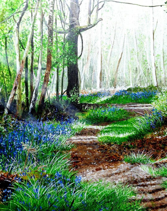 Forest Ways and Bluebell Days