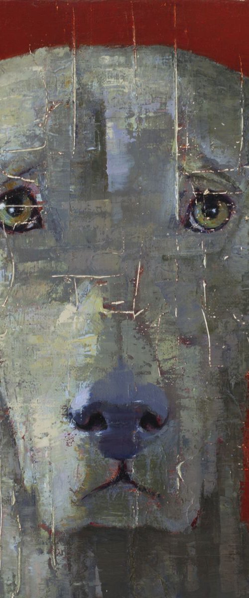 A DOG hj by Tomasa  Martin