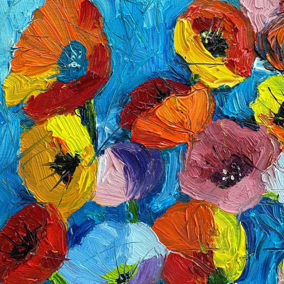 Colorful Poppies