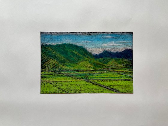 Chihshang Ricefields 2, Taitung