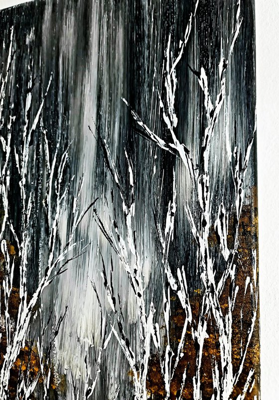 Birches In Winter