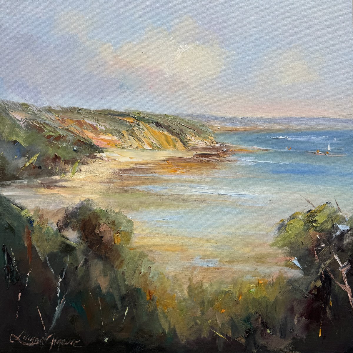 Coral beach, Mornington by Liliana Gigovic