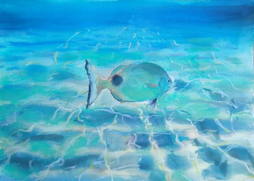 Sea shore fish by Marina Del Pozo