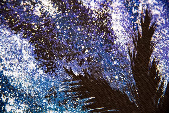 Palm trees shadows and starlight