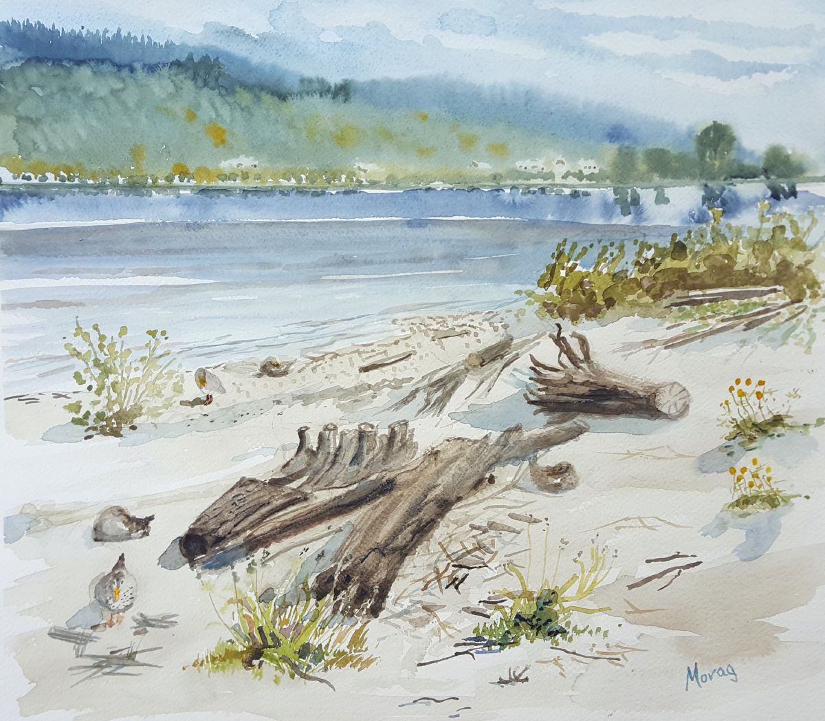 On the Shores of the Rhine by Morag Paul