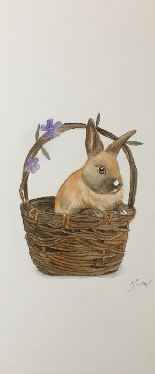 Bunny in basket by Amelia Taylor