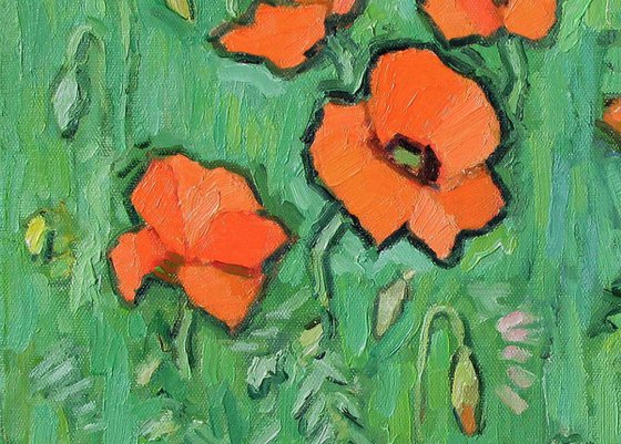 Poppies