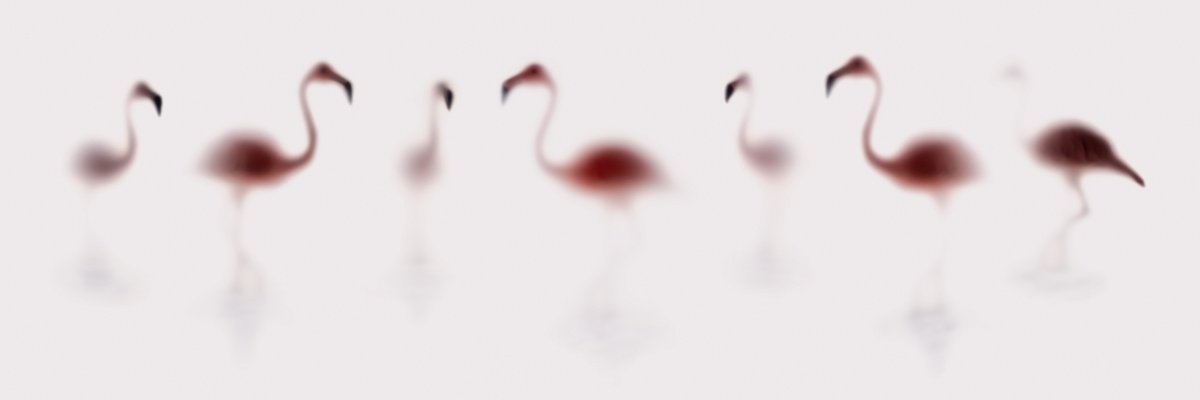 Abstract Animal Photograph By Sven Pfrommer, 59 X 20", Wild Lens - Flamingos, Original Artwork