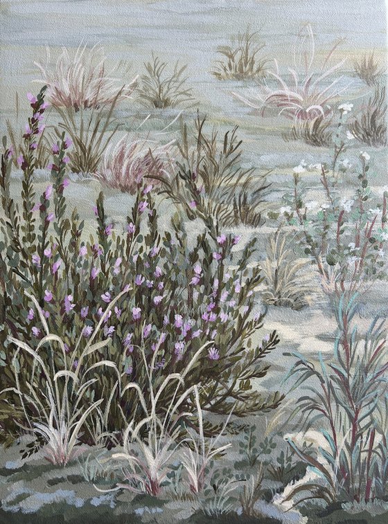 Wild Thyme