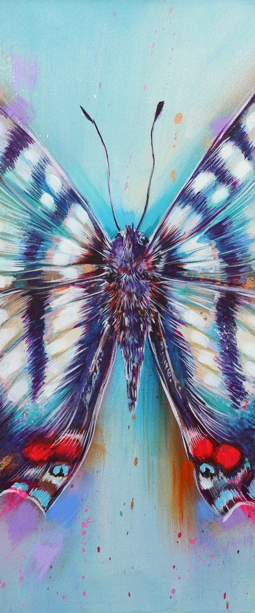 Sky Whisper by Sian Storey