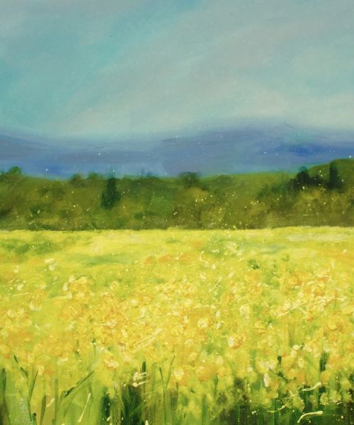 The rapeseed fields along the A465 to Hereford by Emma Sian Pritchard