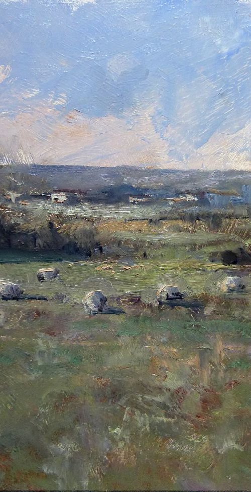 Sheeps by Pascal Giroud