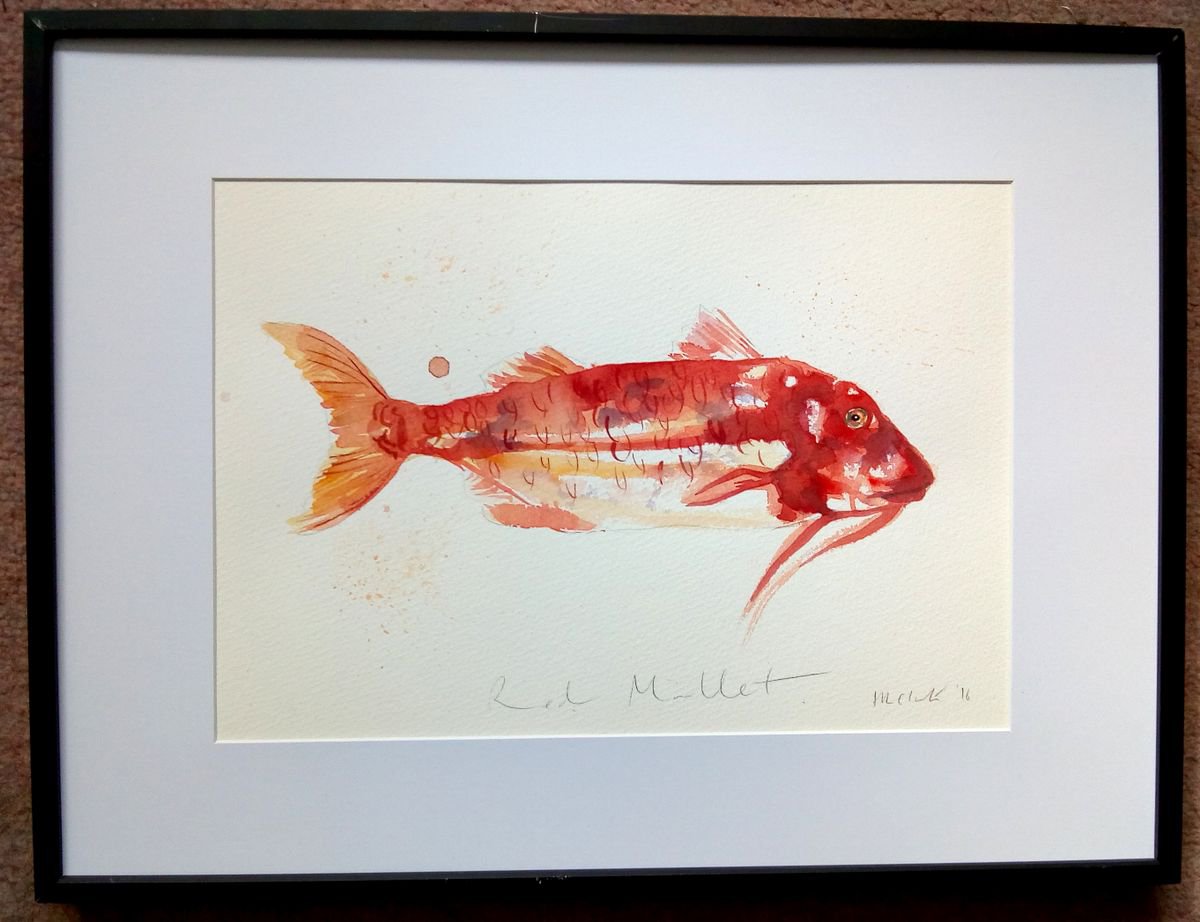 Red Mullet Fish by Hannah Clark
