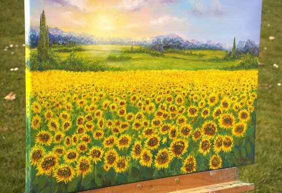 Sunflowers field