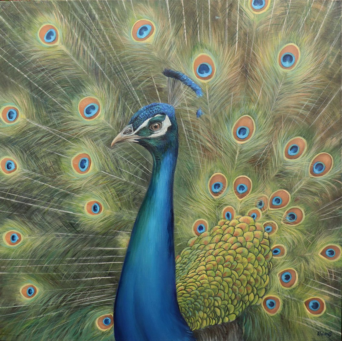 Peacock of a Thousand Eyes Oil painting by Alex Jabore | Artfinder